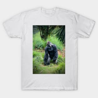 Standing Gorilla T-Shirt